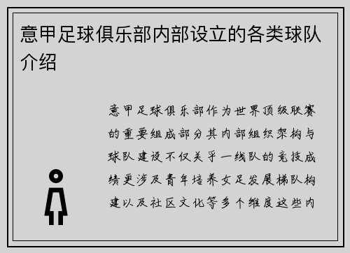 意甲足球俱乐部内部设立的各类球队介绍
