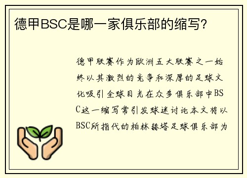 德甲BSC是哪一家俱乐部的缩写？